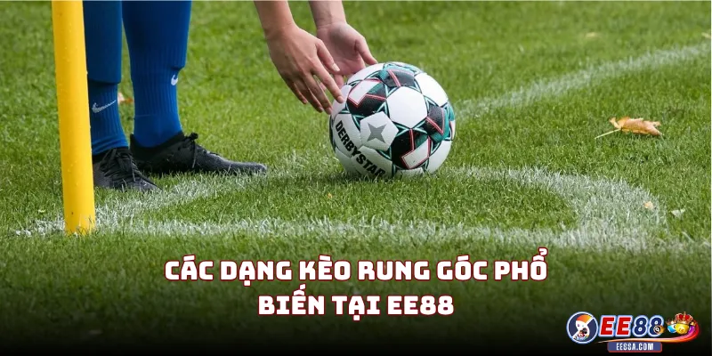 Các Dạng Kèo Rung Góc Phổ Biến Tại EE88